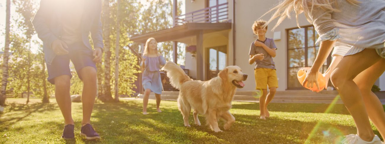family playing with a dog in their front yard