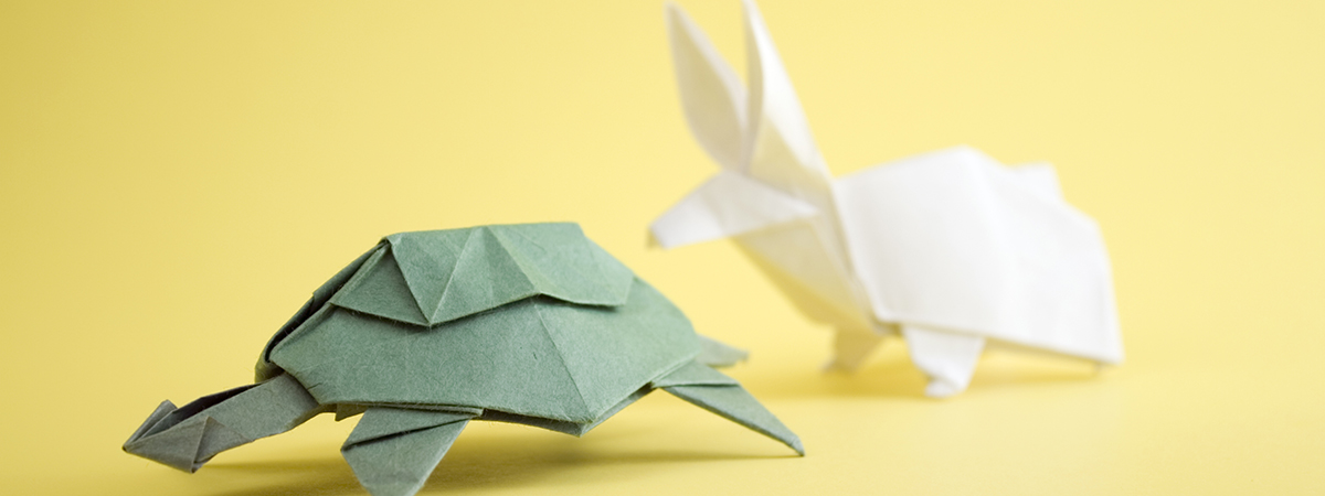 slow and steady approach to investing white paper pdf d
